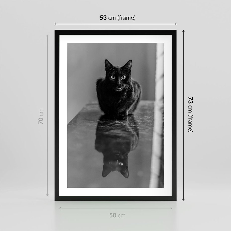 Plakat w ramie 50x70 - Kocie Oczy - kot, czarno białe zdjęcie - rama czarna