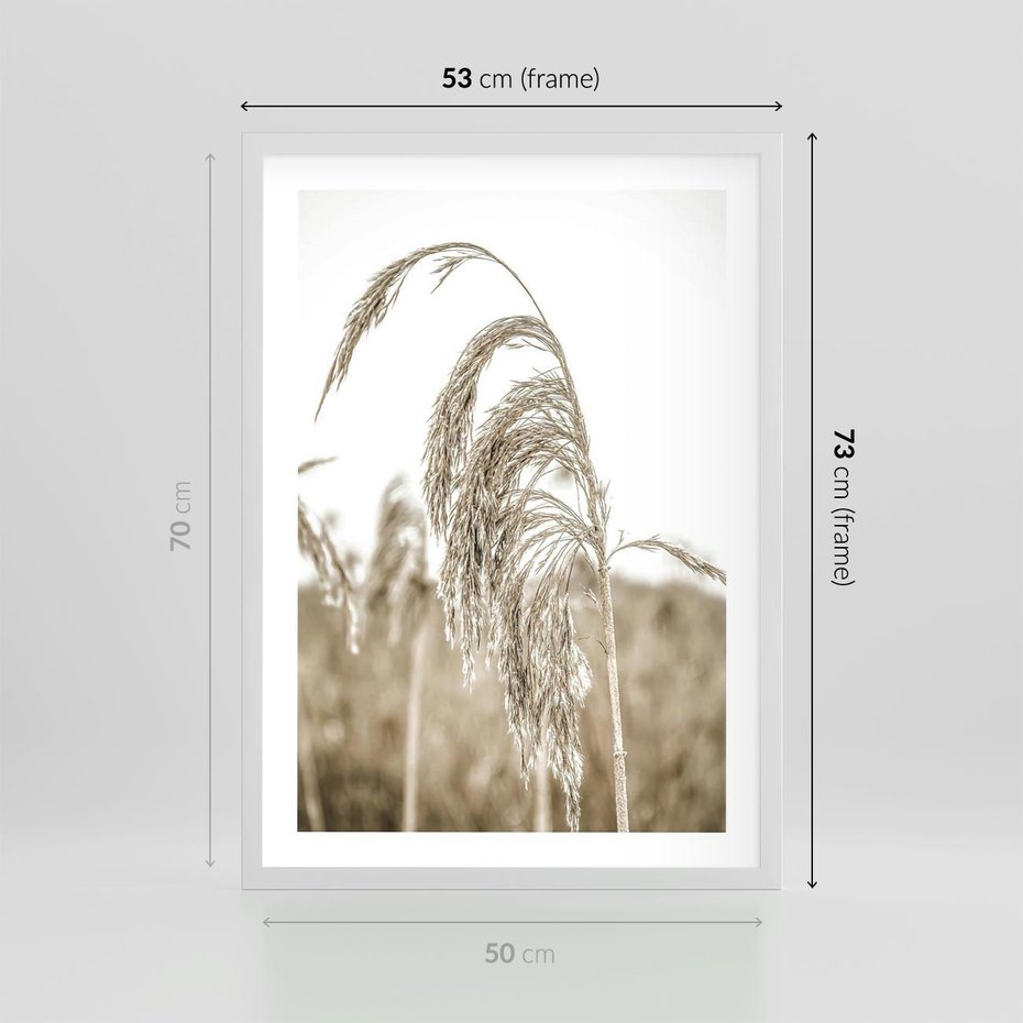 Plakat w ramie 50x70 - Ujęcie Suchych Traw - suche trawy, zbliżenie - rama biała