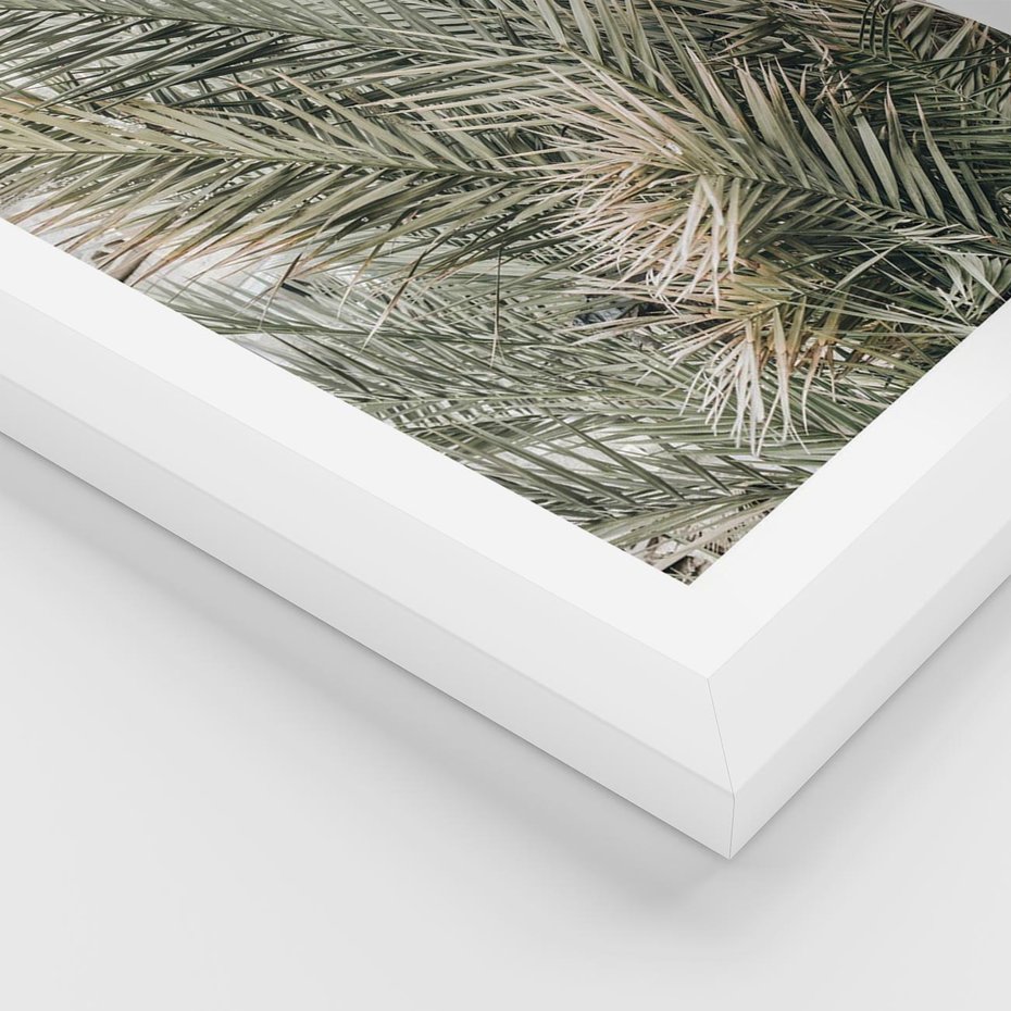 Plakat w ramie 30x40 - Egzotyczny Świat Palm - palmy, liście palmy - rama biała