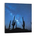 Obraz na płótnie 70x70 - Kaktusy - Niebo z gwiazdami - kaktusy, niebo