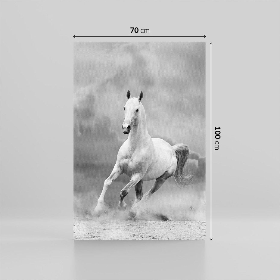 Obraz na płótnie 70x100 - Elegancja w Czarno-Białym - koń, biało