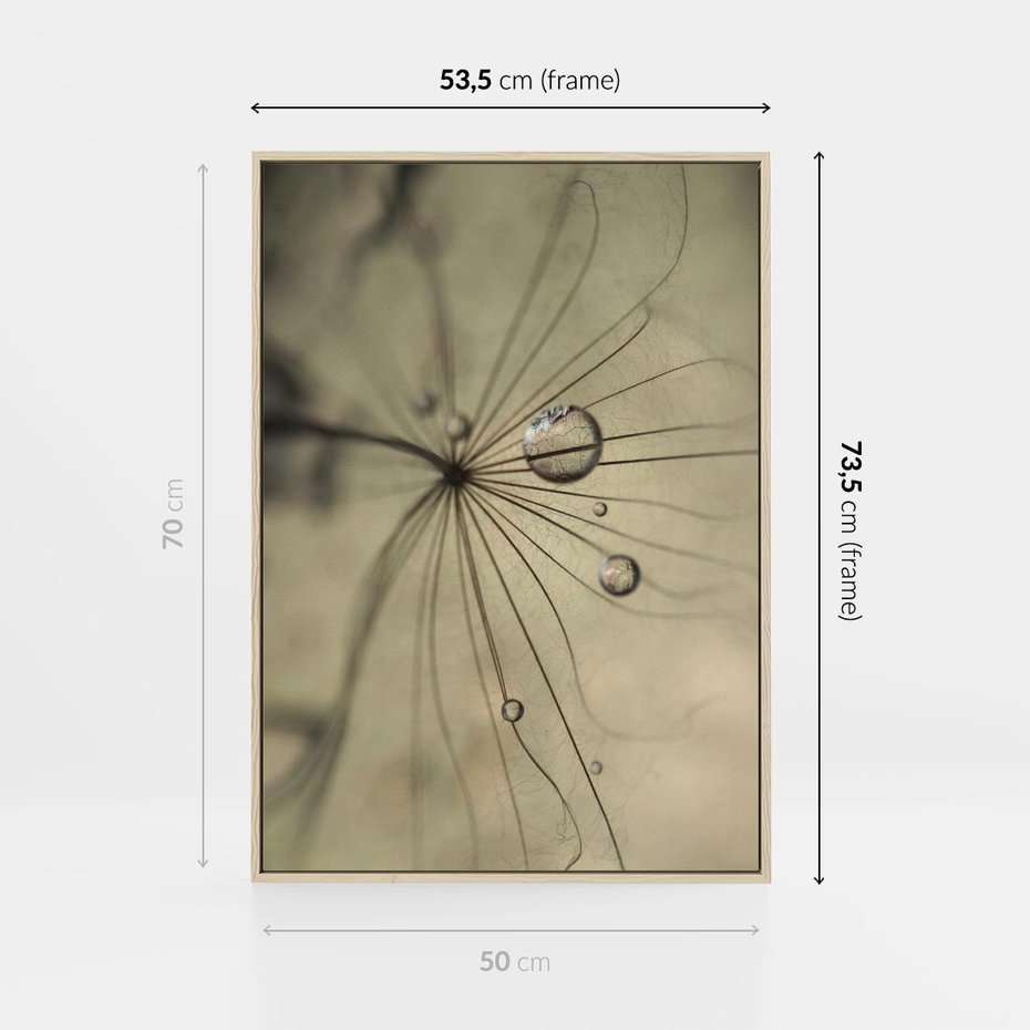 Obraz w ramie 50x70 - Delikatność dmuchawców - dmuchawce, krople - rama drewno