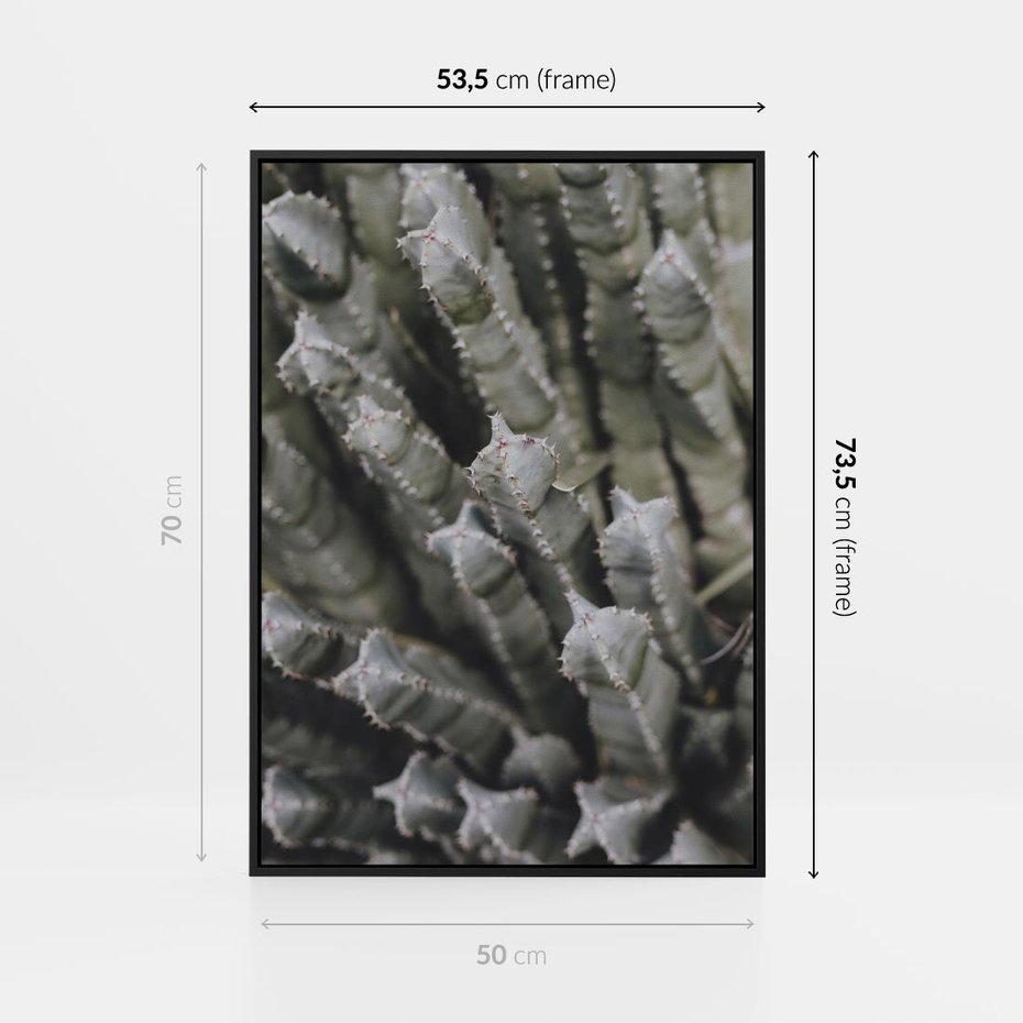Obraz w ramie 50x70 - Boho kaktusy na pustyni - kaktusy, pustynia - rama czarna