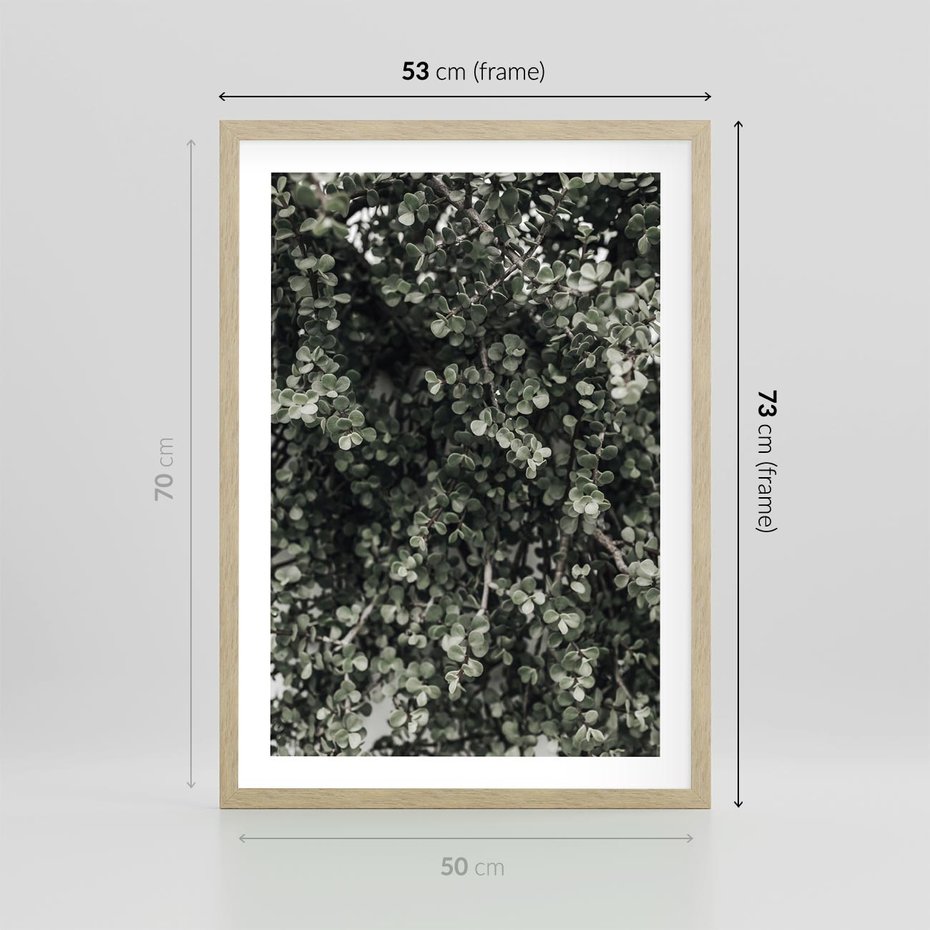 Plakat w ramie 50x70 - Jasnozielone Liście i Gałązki - liście, gałązki - rama drewno