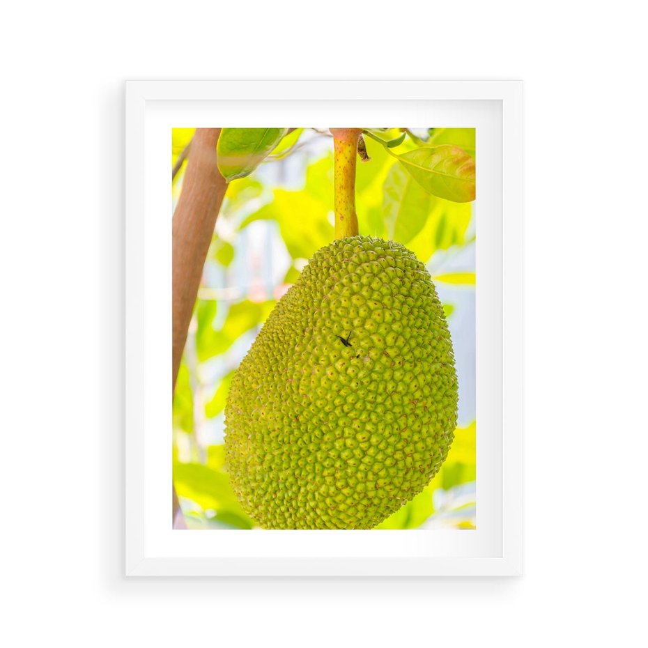 Plakat w ramie 40x50 - Tropikalny raj nad morzem - tropikalny, owoc - rama biała
