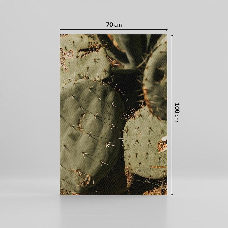 Obraz na płótnie 70x100 - Urok Egzotyki - kaktusy, boho