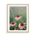 Plakat w ramie 50x70 - Natura w Pełnym Blasku - kwiaty na łące, różowe kwiaty polne - rama drewno