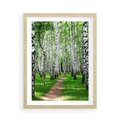 Plakat w ramie 50x70 - Bajkowy las pełen brzóz - las, brzozy - rama drewno