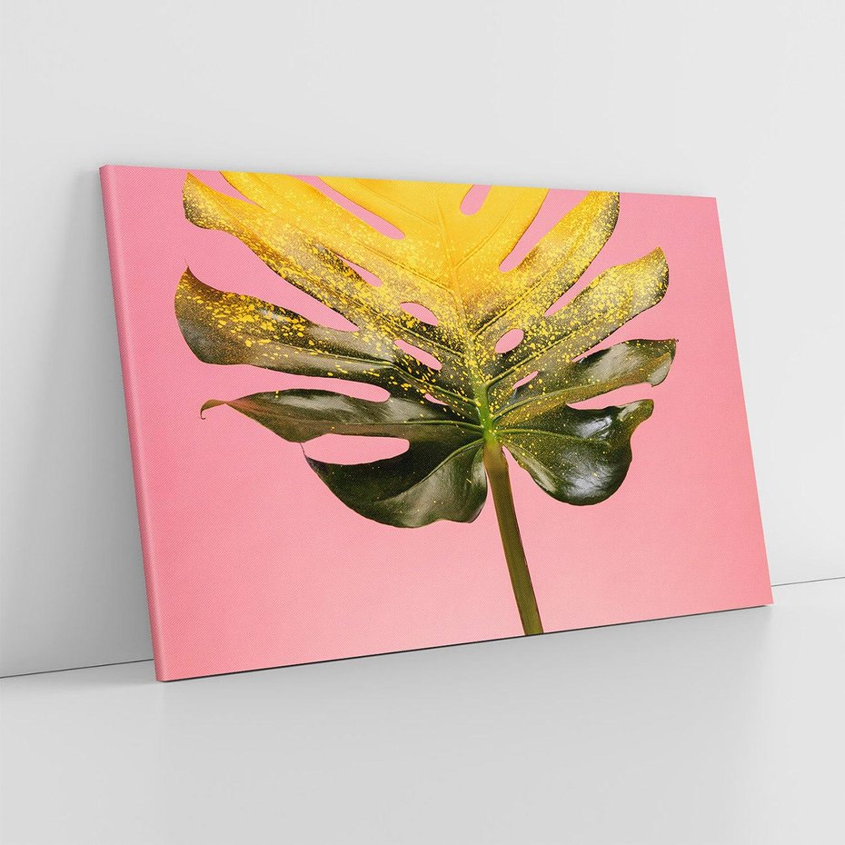 Obraz na płótnie 70x50 - Majestatyczna monstera - monstera, liść