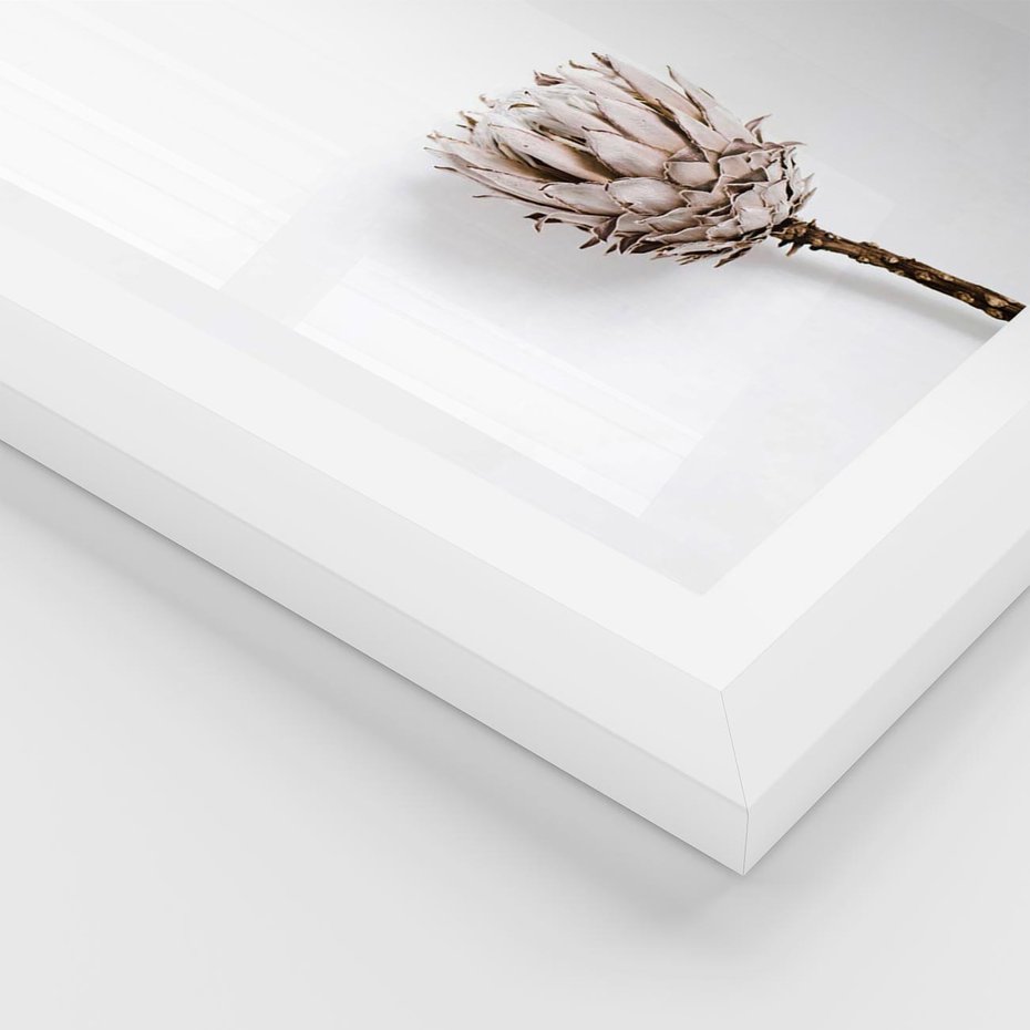 Plakat w ramie 30x40 - Suszona Roślina na Białym Tle - minimalizm, suszona roślina - rama biała