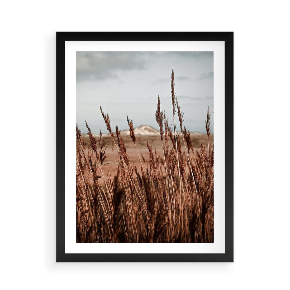 Plakat w ramie 50x70 - Wysokie Trawy w Górskim Krajobrazie - suche trawy, wysokie trawy - rama czarna