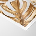 Plakat bez ramy 40x50 - Złote Akcenty w Fotografii - złotel liście monstery, na białym tle