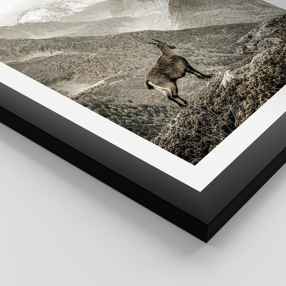 Plakat w ramie 50x70 - Dzikie Piękno: Kozica w Malowniczym Górskim Scenerii - kozica, góry - rama czarna