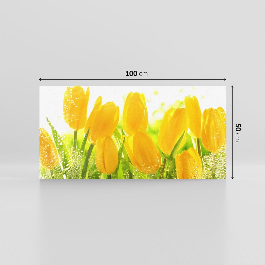Obraz na płótnie 100x50 - Tulipany - szczyt kwiatowego piękna - tulipany, kwiaty