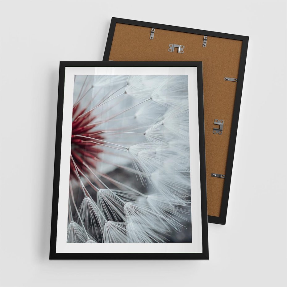 Plakat w ramie 50x70 - Makro świat dmuchawca - dmuchawiec, makro - rama czarna