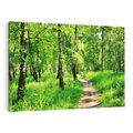 Obraz na płótnie 70x50 - odkryj piękno drzew - las, drzewa