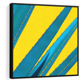 Obraz w ramie 50x50 - Świeżość Natury - aloes, liście - rama czarna