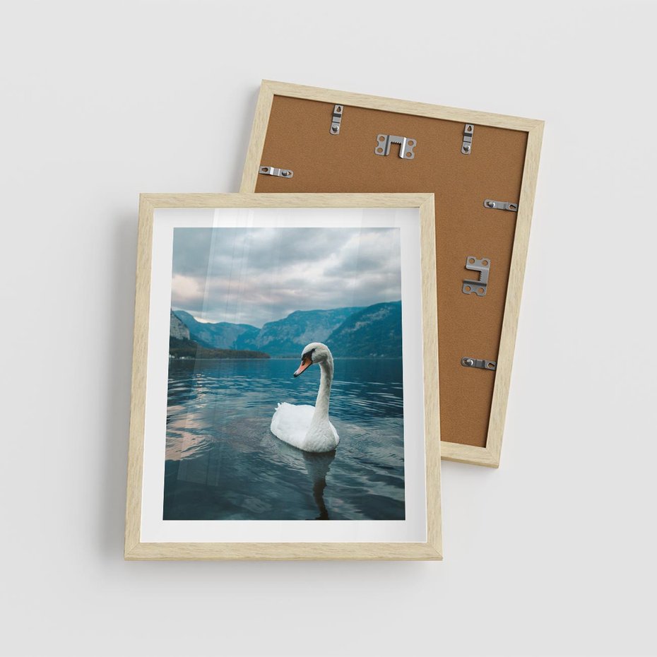 Plakat w ramie 40x50 - Łabędzi Śpiew - fotografia, plakat - rama drewno