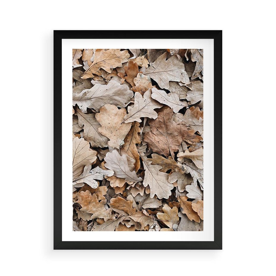Plakat w ramie 50x70 - Nostalgiczny Pejzaż - suche liście, jesień - rama czarna