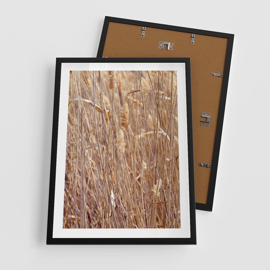 Plakat w ramie 50x70 - Mistrzowskie suche trawy - suche, trawy - rama czarna