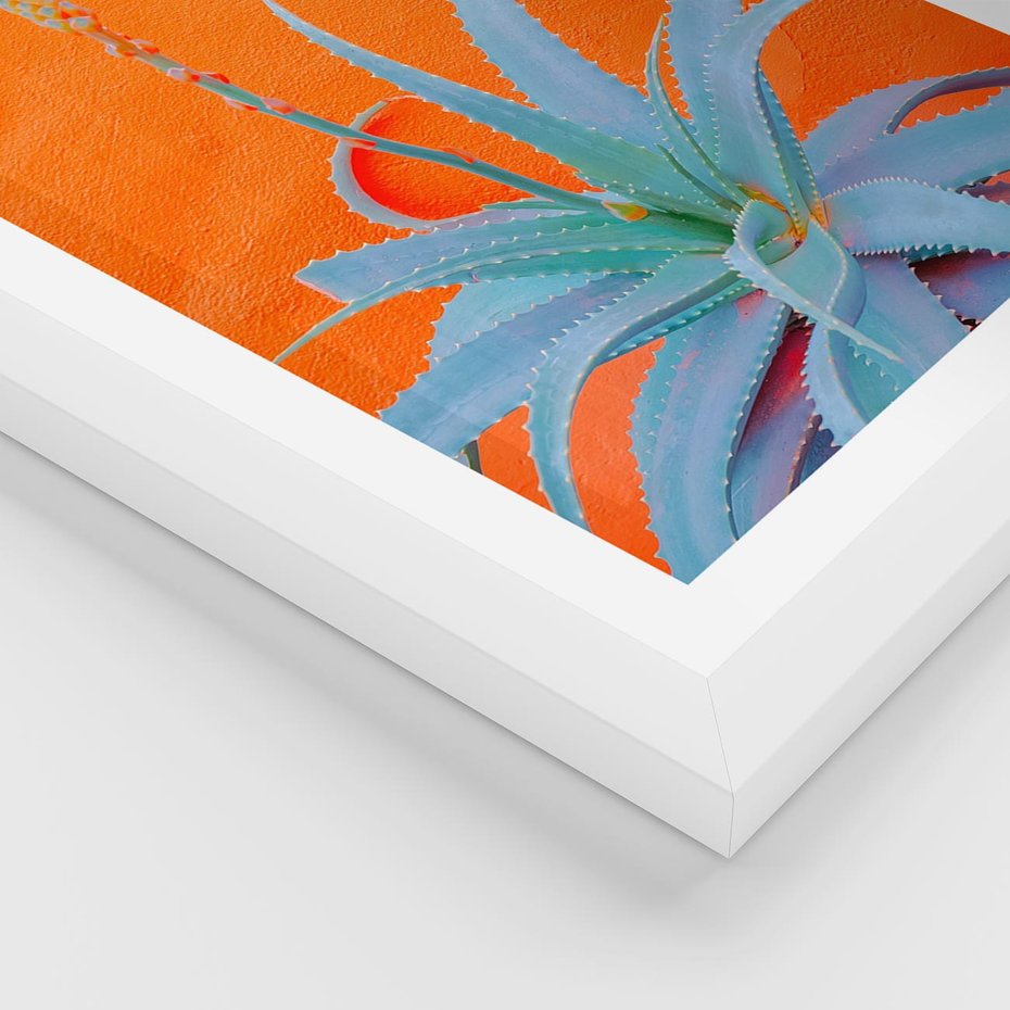 Plakat w ramie 50x70 - Naturalna Harmonia - kaktusy, liście - rama biała