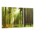 Obraz na płótnie 120x80 - Spokój wśród drzew: las w odcieniach zieleni - las, drzewa