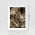 Plakat w ramie 40x50 - Natura Pod Lupą - pień drzewa, przekrój - rama biała