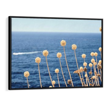 Obraz w ramie 100x70 - Kontrasty Natury - fotografia, pierwszy plan sucha roślinność - rama czarna