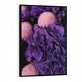 Obraz w ramie 50x70 - Fioletowa hortensja - kwiaty, hortensja - rama czarna