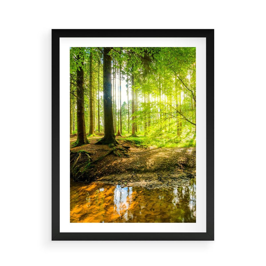 Plakat w ramie 50x70 - Las nad Wodą - las, woda - rama czarna