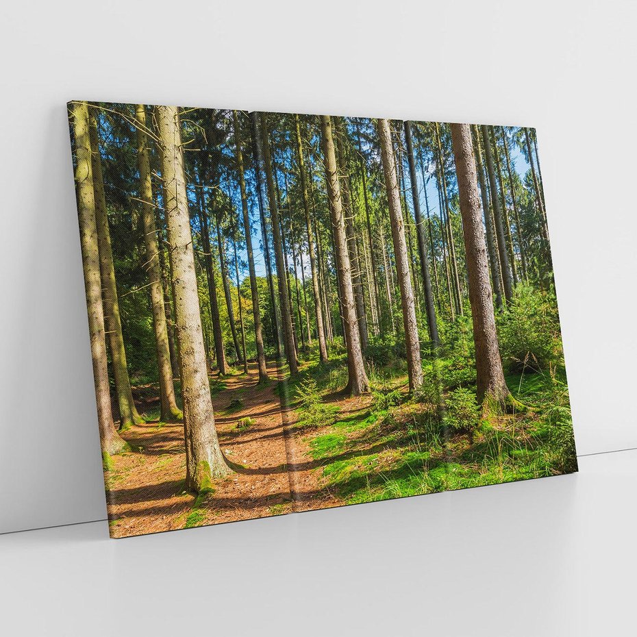 Obraz na płótnie 120x80 - Mistyfikacje lasu - las, drzewa