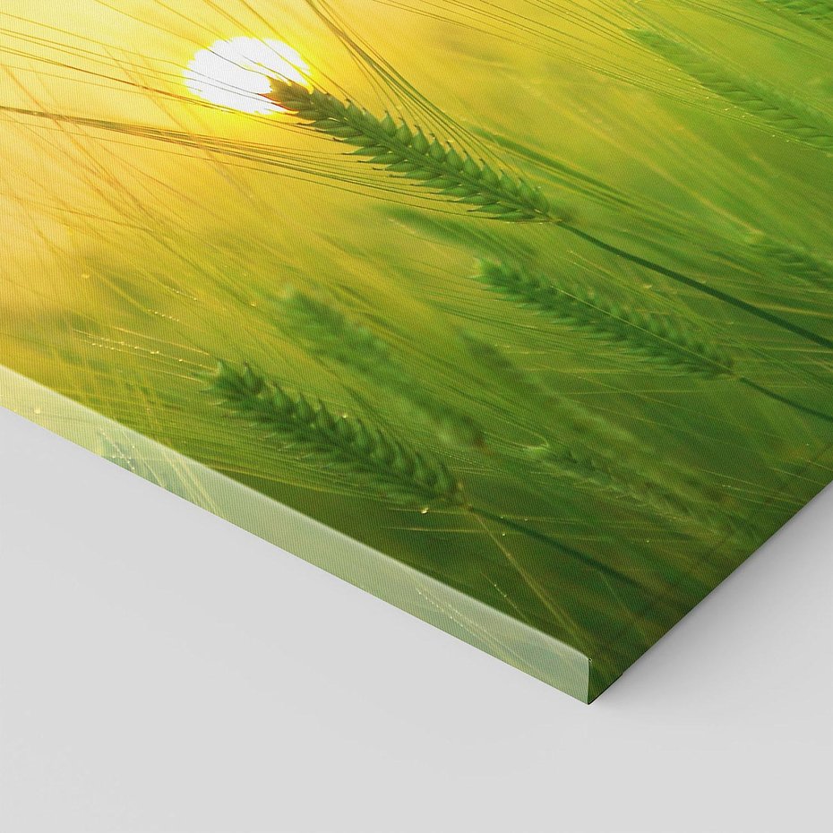 Obraz na płótnie 120x80 - Zboże w kłosach: Oda do plonów natury - zboże, kłos