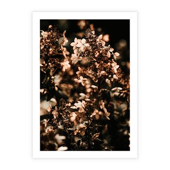 Plakat bez ramy 21x30 - Sucha Kompozycja Kwiatów - suche kwiaty hortensji