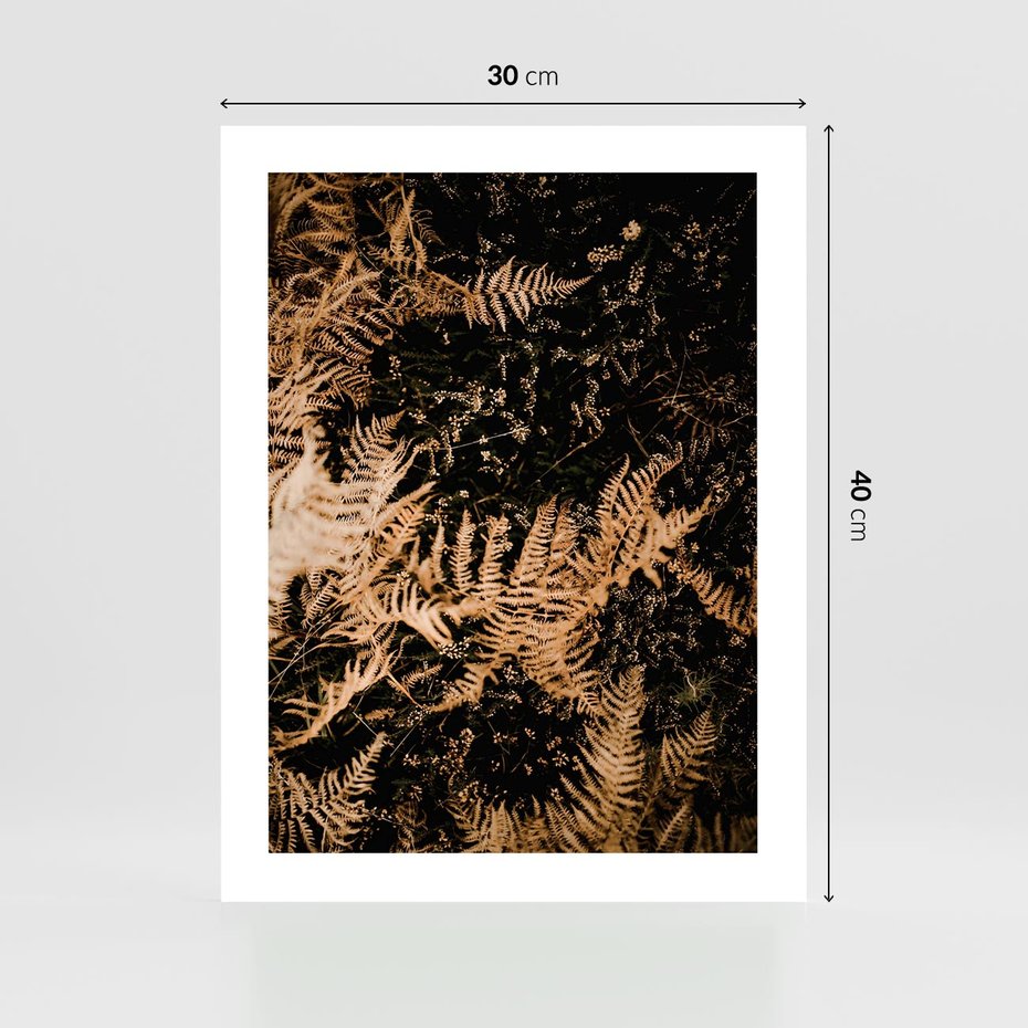Plakat bez ramy 30x40 - Jesienne Paprocie: Kolorowa Paleta Natury - paprocie, jesień