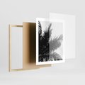 Plakat w ramie 40x50 - Czas Zapomnienia - palmy, czarno biała fotografia - rama drewno