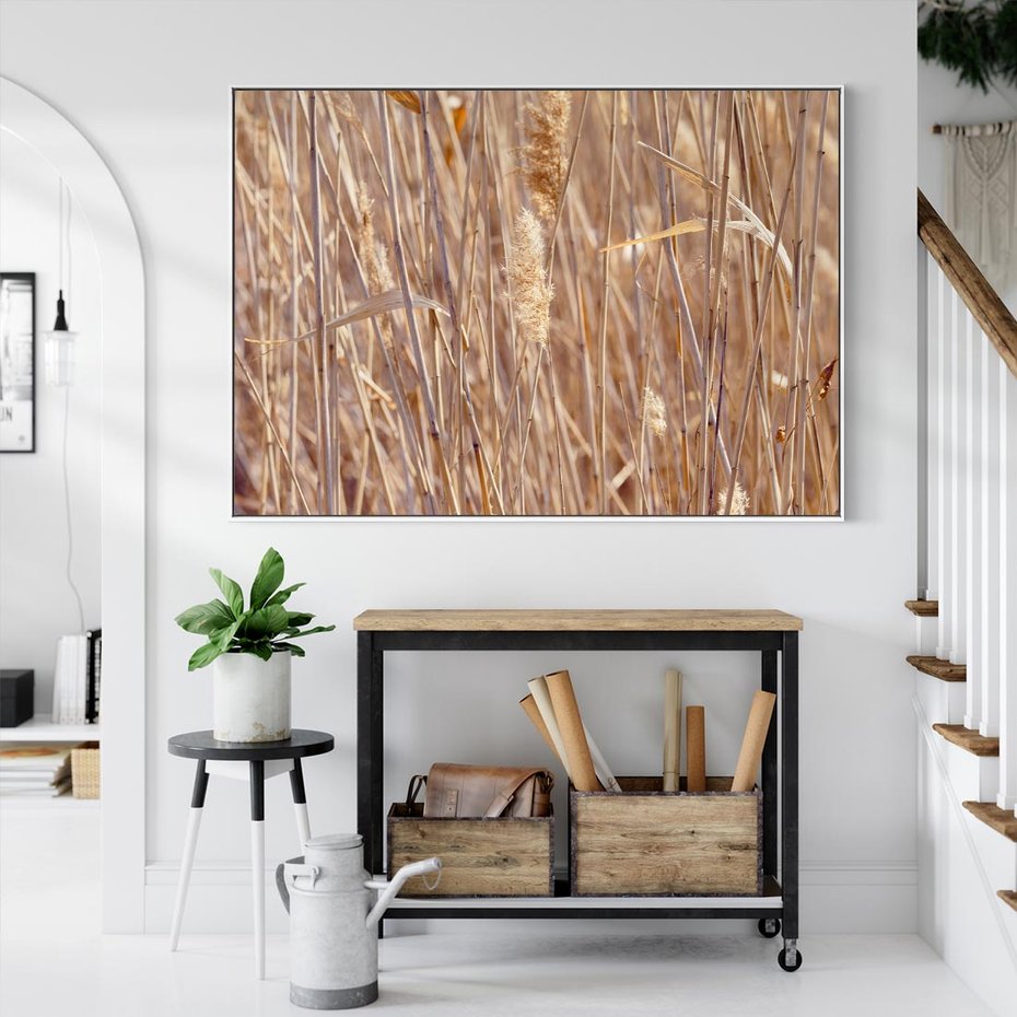 Obraz w ramie 70x50 - Mistrzowskie suche trawy - suche, trawy - rama biała