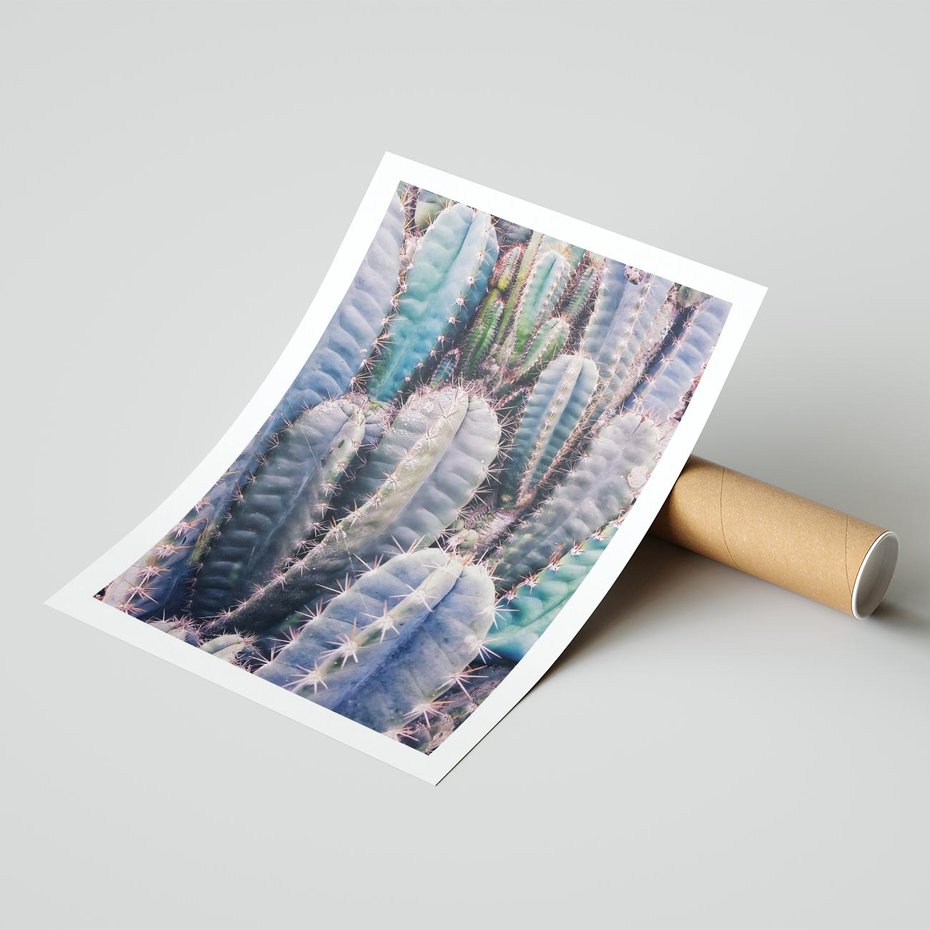 Plakat bez ramy 21x30 - Kaktusowy Raj - kaktusy, dużo kaktusów