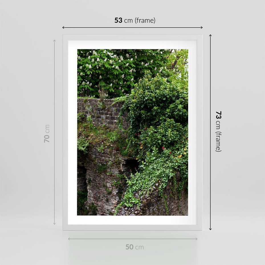 Plakat w ramie 50x70 - Żywiołowa Zieleń - mur, liście - rama biała