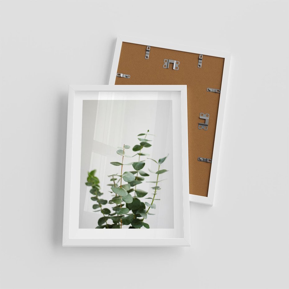 Plakat w ramie 30x40 - Żywa eukaliptusowa zieleń - eukaliptus, zielone - rama biała