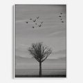 Obraz w ramie 50x70 - Samotne Drzewo - samotne drzewo w polu, czarno białe zdjęcie - rama biała