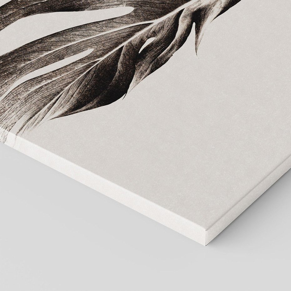 Obraz na płótnie 50x50 - Szapczący Liść - szkic, czarno biały