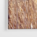 Obraz w ramie 50x50 - Mistrzowskie suche trawy - suche, trawy - rama biała