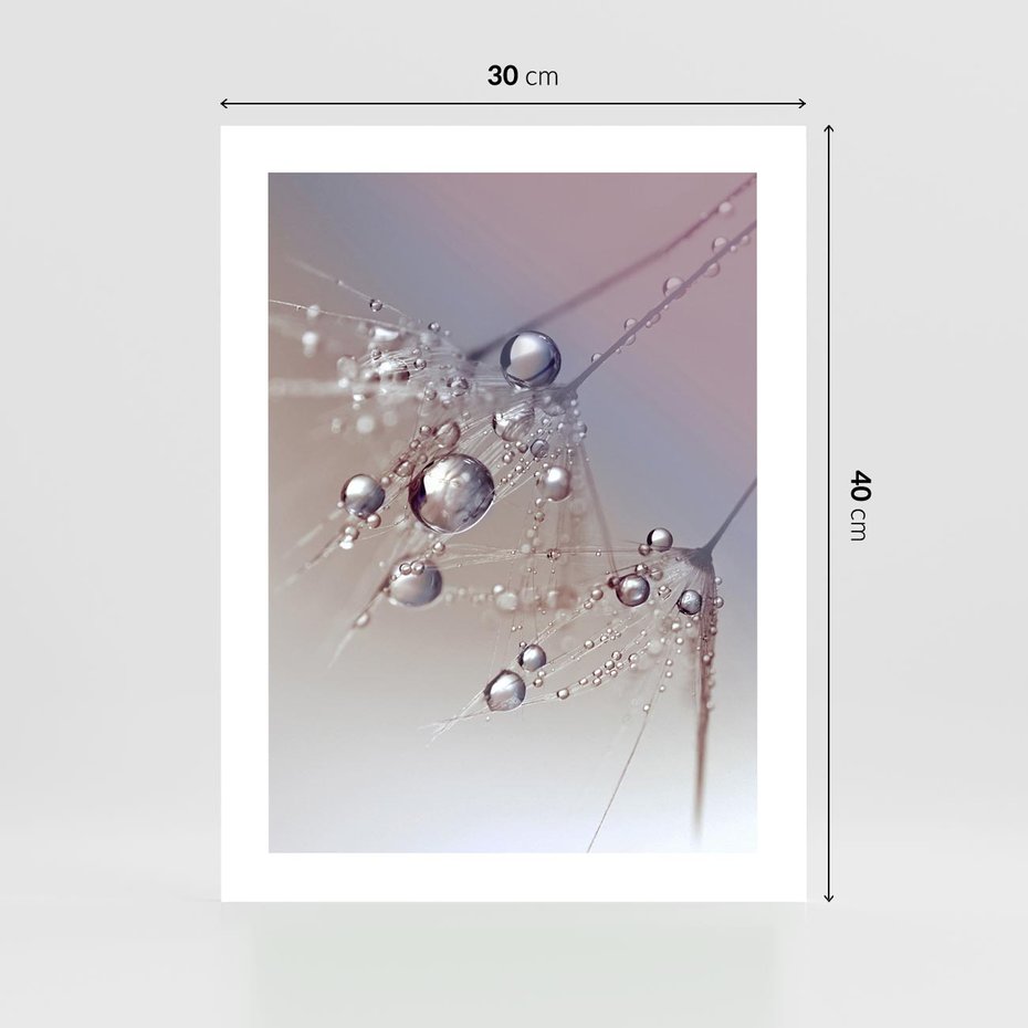 Plakat bez ramy 30x40 - Delikatne Natchnienie - krople, dmuchawce