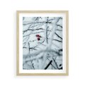 Plakat w ramie 40x50 - Zima w Detalu: Gałęzie ze Szronem i Śniegiem - śnieg, zima - rama drewno