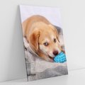 Obraz na płótnie 70x100 - Radość w zabawie: Piesek jako najlepszy przyjaciel - pies, piesek