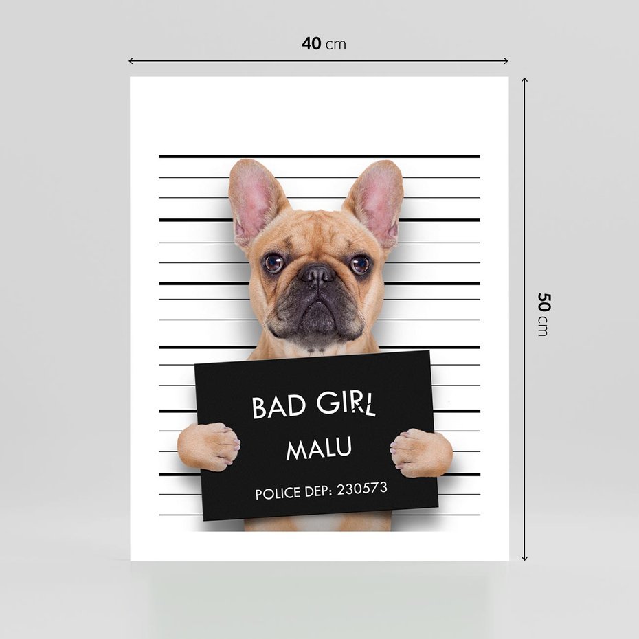 Plakat bez ramy 40x50 - przyjaciel na zawsze - pies, piesek