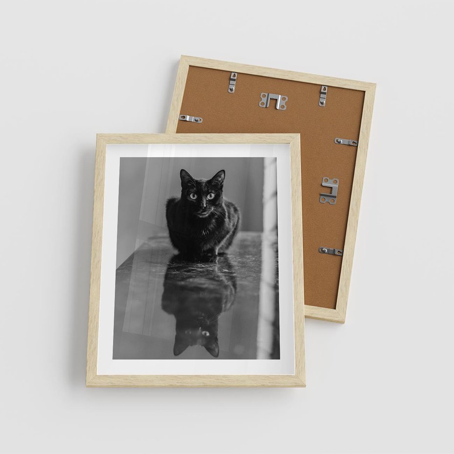 Plakat w ramie 40x50 - Kocie Oczy - kot, czarno białe zdjęcie - rama drewno
