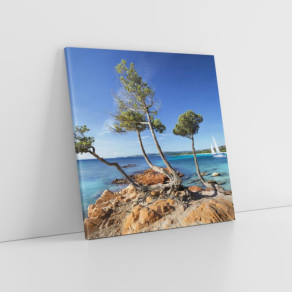 Obraz na płótnie 70x70 - Korsyka - morze i drzewa - Korsyka, morze