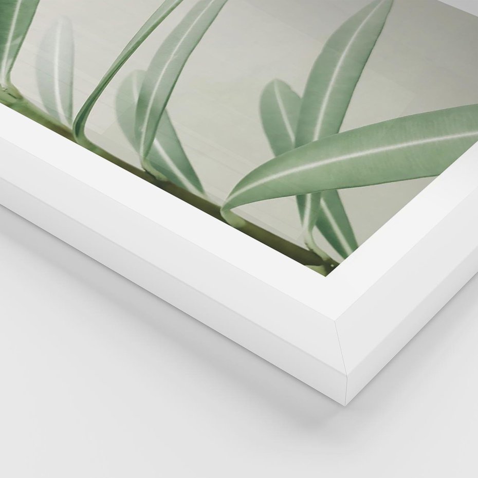 Plakat w ramie 50x70 - Minimalistyczna Tropikalna Harmonia - tropikalna roślina, zielone liście - rama biała