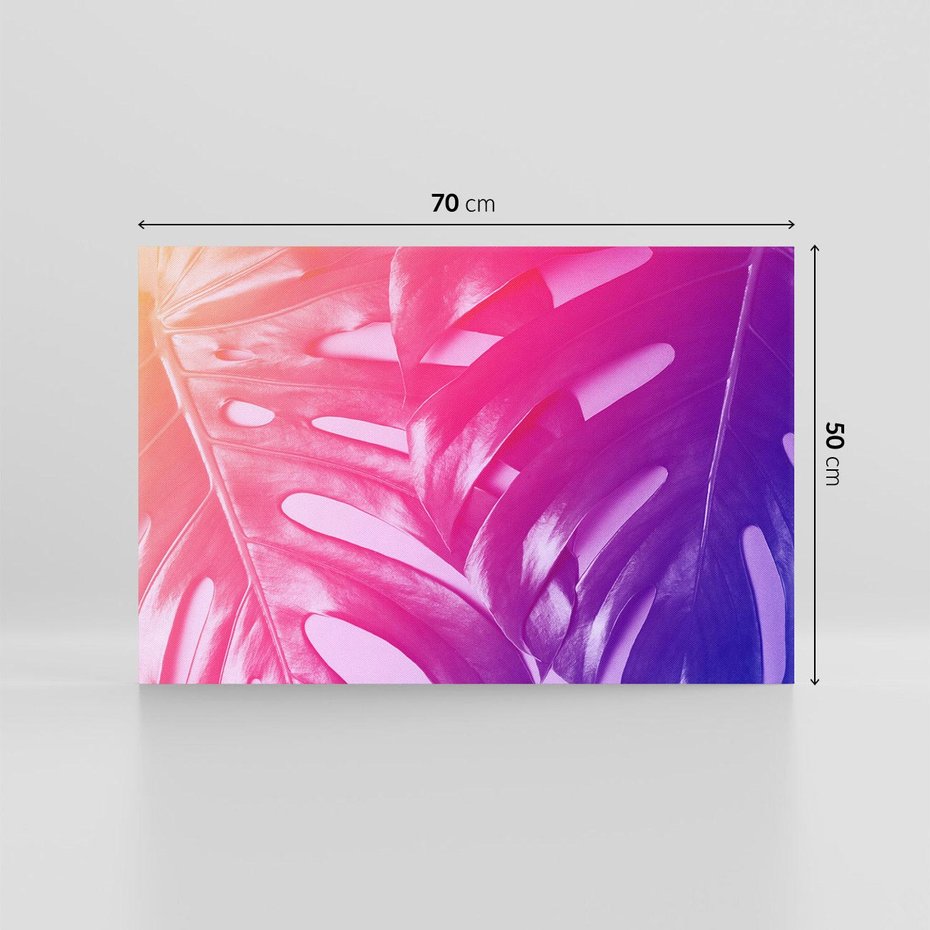 Obraz na płótnie 70x50 - Monstera Kwiaty Liście - monstera, kwiaty